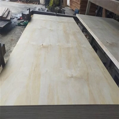 Pinewwood para uso de cofragem - multi - em camadas